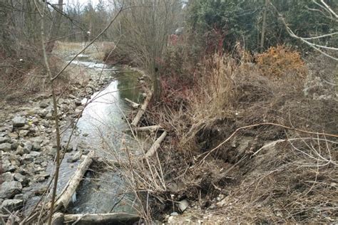 South Richvale Valleyland Restoration Works - Completed - Toronto and ...