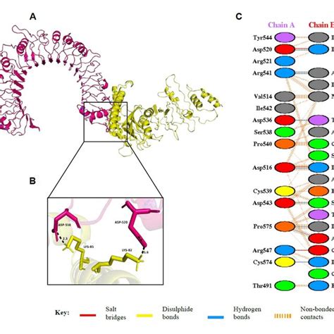 Tertiary Structure Of The Spike Protein With Ctl Epitopes Marked By Red