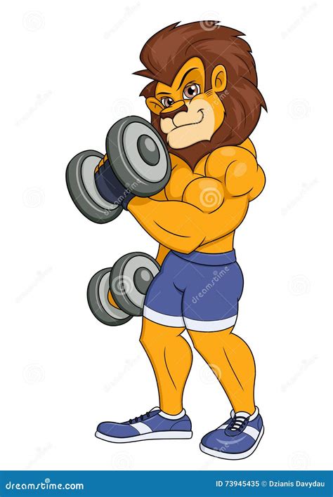 Lion Bodybuilder Cartoon Vector 66029363