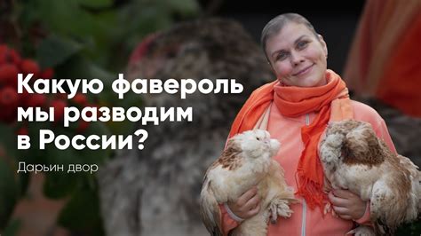 Какую фавероль мы разводим в России? - YouTube