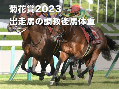 【菊花賞2023】出走馬の調教後馬体重一覧 ソールオリエンスとタスティエーラはともに＋8kg 競馬まとめ Netkeiba