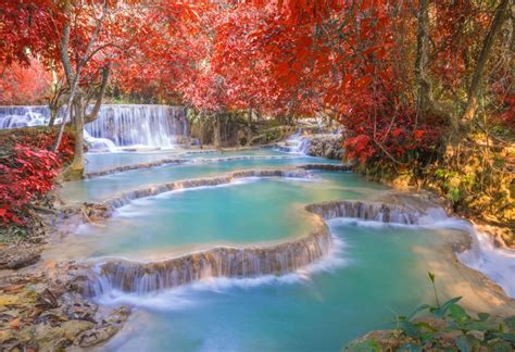 Asiatrips Travel Kuang Si Waterfalls In Luang Prabang Laos