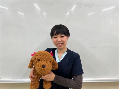 小柄で食欲のなかった1匹の学内犬 学生生活をともにし動物看護学生を支える存在に 犬・猫との幸せな暮らしのためのペット情報サイト「sippo」