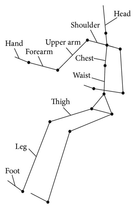 The Simplified Model Of Human Skeletal System Download Scientific