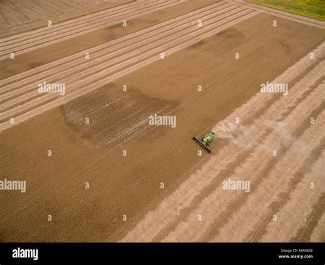 Soybean Harvest John Deere Combine Harvesting Soybeans