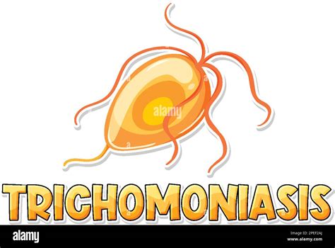 Trichomonas Vaginalis A Protozoan Parasite Illustration Stock Vector