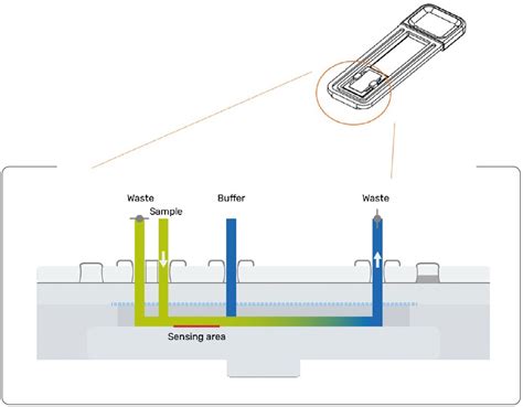 The Benefits Of No Clog Microfluidics Malvern Panalytical