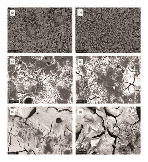 Scanning Electron Micrographs Backscattered Electrons Of The Surface