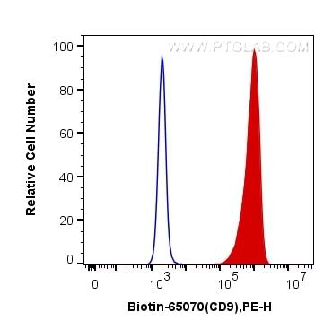 Cd Antibody Biotin Proteintech