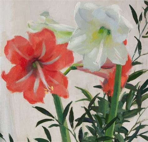 Hjortzberg Olle Still Life With White And Red Amaryllis