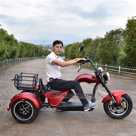 Double Seat Adult Electric Scooter Citycoco 2000w 3 Wheel Fat Tire Electric Bike Kit Electric