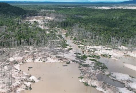 SOS Orinoco denuncia invasión de mineros ilegales brasileños en el