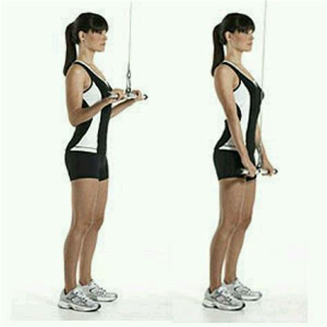 Cable Triceps Extension Exercise How To Workout Trainer By Skimble