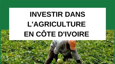 INVESTIR DANS LE BUSINESS DE L AGRICULTURE EN CÔTE D IVOIRE YouTube