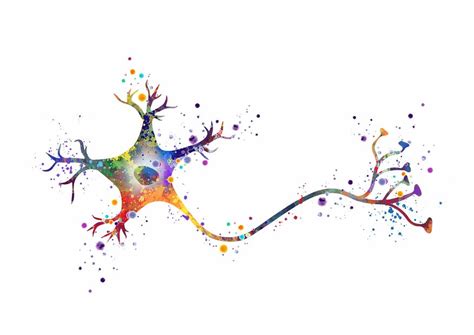 Neuron Art Brain Cell Anatomy Art Watercolor Neurology Medical Science