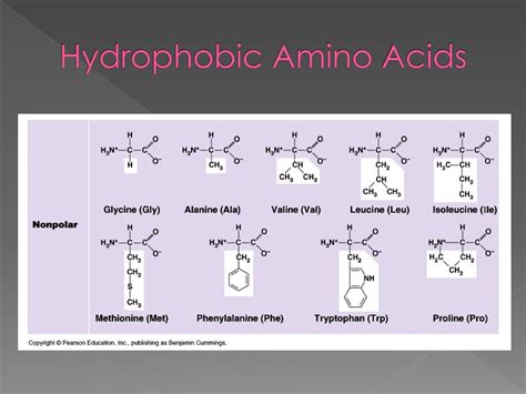 Ppt The Structure And Function Of Macromolecules Powerpoint