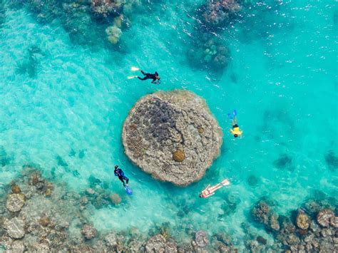 Tour Giornalieri Di Rafting Sulla Spiaggia Di Whitehaven Dal Queensland