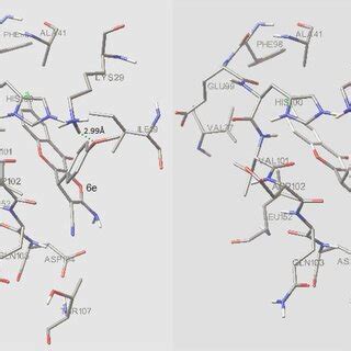 Interaction Of Compound 6e And 6j With Active Site Residues Of