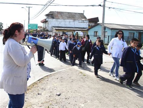 Invitaron a todos los colegios del Biobío a participar de un mega