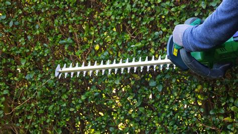 How To Sharpen Hedge Trimmer Blades Safely And Quickly Homes And Gardens