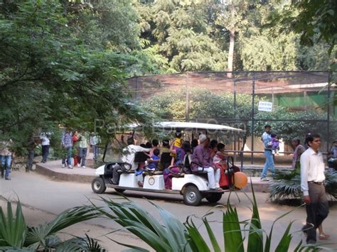 Sanjay Gandhi Biological Park|Patna Zoo : 'Lungs of Patna' - Patna Local