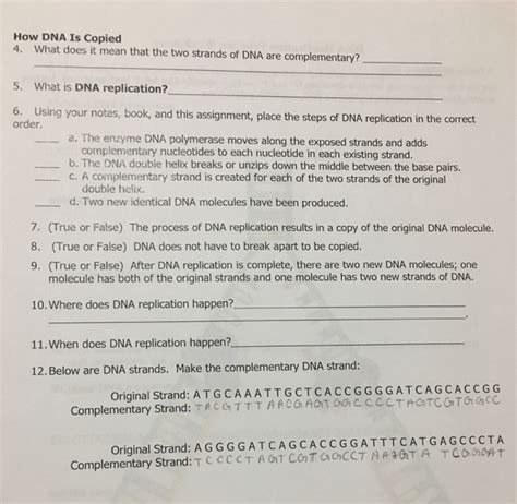 Solved How Dna Is Copied 4 What Does It Mean That The Two