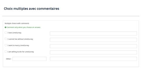 Cr Er Une Question Choix Multiple Guide D Utilisation De L Outil