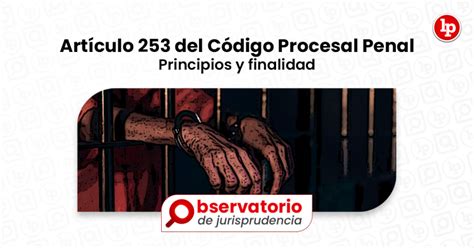 Jurisprudencia del artículo 253 del Código Procesal Penal Principios