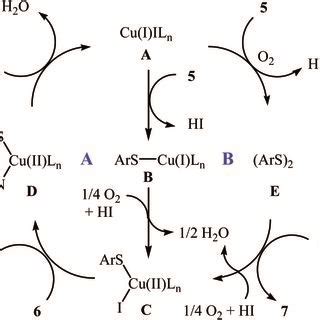 Mechanistic proposal for the reactions in Scheme 9 | Download ...