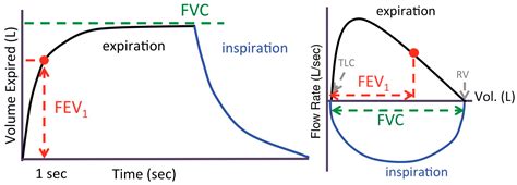 Computers Free Full Text Assessment Of Multi Layer Perceptron