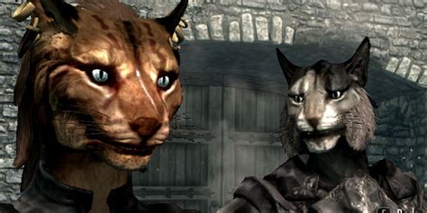 Skyrim 10 Things You Didn T Know About Khajiit