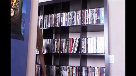 American Whores Episode Hardcore Hardcore Porn Xhamster