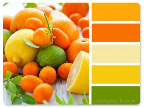 Nature Inspired Color Palettes | Color schemes, Color harmony, Color ...