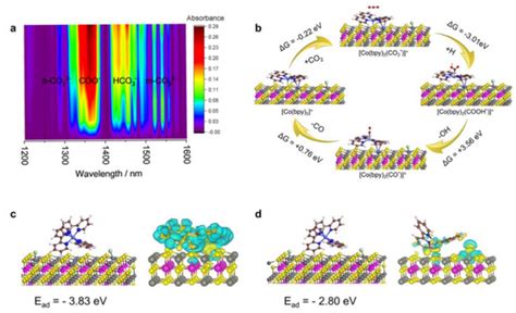 厉害了！北大郭少军团队连发两篇jacs 知乎