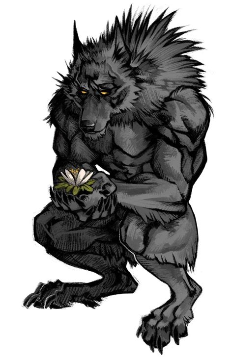 Pin By Sir Reginald Poots On Wolveswerewolves Werewolf Drawing