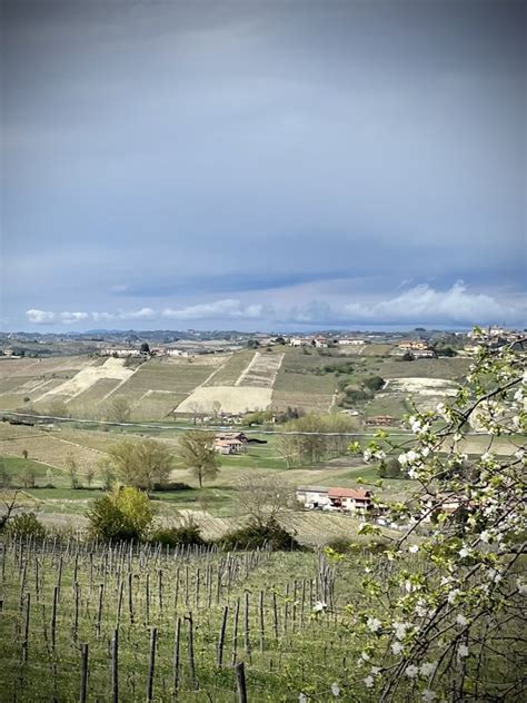 Bera Viaggio Nella Gastronomia Tradizionale Piemontese