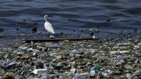 Nouveau Record De Pollution Plastique Dans Les Océans Selon Une étude