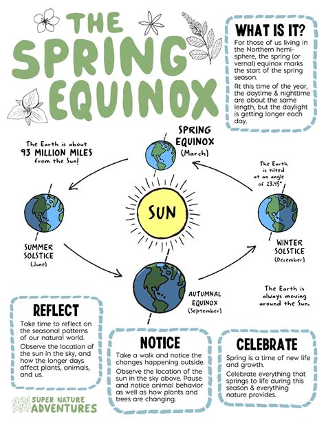 Celebrating Spring Equinox — Super Nature Adventures