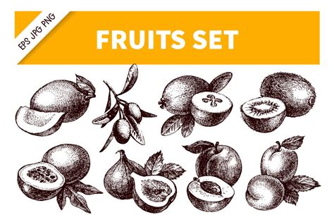 Hand Drawn Sketch Fruits Vector Set By Elena Pimonova Thehungryjpeg