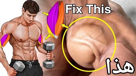 أفضل تمارين مضمونة 100 لعضلة البايسبس بدمبل فقط كمال الاجسام Best Exercises Dumbbell Only