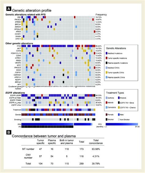 A Genetic Alteration Profile For The 48 Patients Treated With Download Scientific Diagram