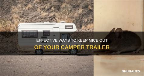 Trailer Park Traps: 5 Essential Steps To Mouse-Proof Your Home