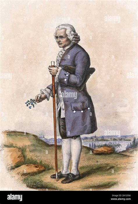 Jean Jacques Rousseau Fil Sofo Ginebrino Escritor Y