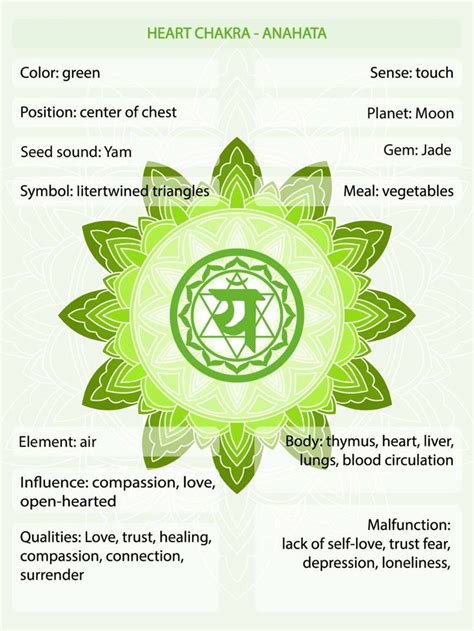 Green Chakra Meaning The Heart Chakra Color Explained Colors