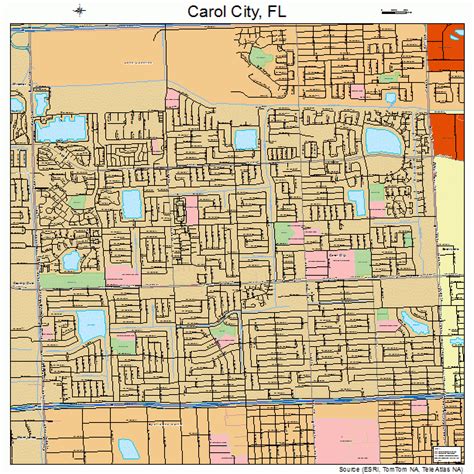 Carol City Florida Street Map 1210650