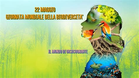 Il 22 maggio è la giornata mondiale della biodiversità Storia ed