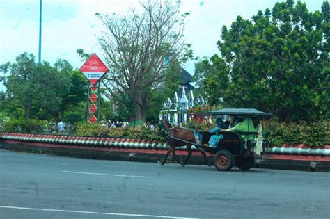 Delman Alternatif Angkutan Wisata Religi Di Demak Halo Semarang