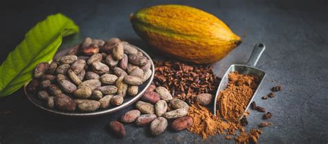 D A Mundial Del Cacao Beneficios Y Recetas Saludables Nueva Mutua