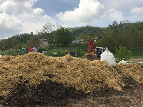 Biochar A Resource For A More Sustainable Agriculture La Fattoria