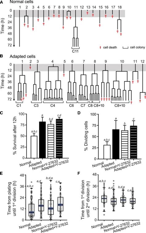 Bottlenecks Limiting The Growth Of Normal H7 S14 HESCs Revealed Through